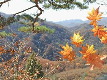 长沙县北山镇最新消息
